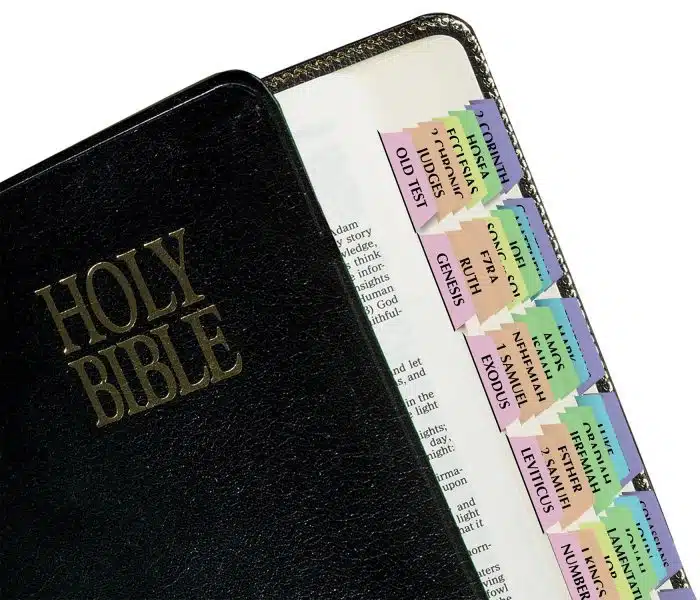 Rainbow Bible Indexing Tabs Including Catholic Books - Image 3