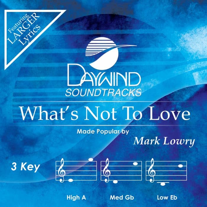 What's Not To Love - Mark Lowry